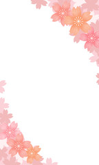 Fototapeta na wymiar background illustration of Cherry blossom in full bloom