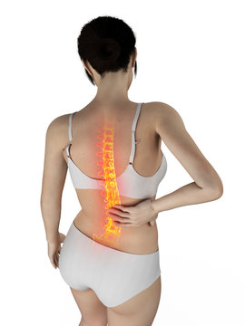 3d rendered medically accurate illustration of a woman having a painful back