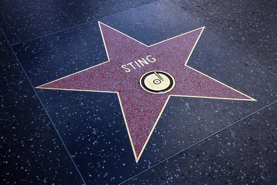 Hollywood, California – May 20, 2019: Star of STING on Hollywood Walk of Fame, Hollywood Boulevard