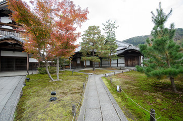 Fototapeta na wymiar Zen garden at Kodai temple in Kyoto