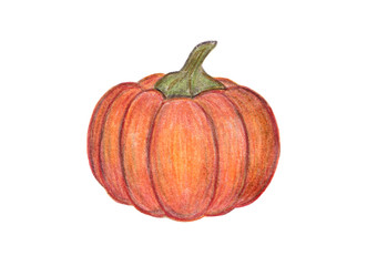 Orange pumpkin illustration. Autumn graphic icon. Isolated on white background. Halloween or Thanksgiving print. Colored Pencil drawing. Hand drawn fresh vegetable.