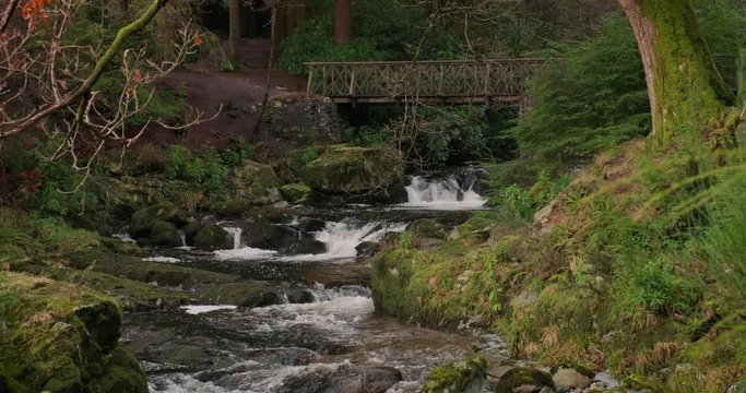 Scenic 4K video of Tollymore forest mountain stream and surroundings, Tollymore Forest park, Northern Ireland