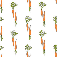 Seamless background with young carrots. Endless pattern on white background for your design. Vector.