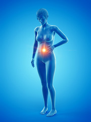 3d rendered medically accurate illustration of a woman having a bellyache