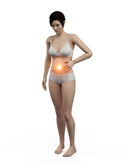 Fototapeta premium 3d rendered medically accurate illustration of a woman having a bellyache