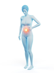 3d rendered medically accurate illustration of a woman having a bellyache