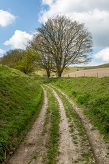 Fototapeta na wymiar A pathway in the Sussex countryside on a sunny spring day