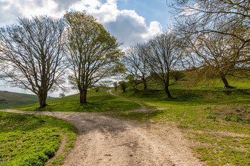 A pathway in the Sussex countryside on a sunny spring day