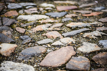 close up view of the bricks wall