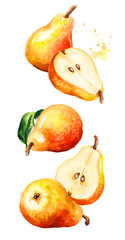 Falling ripe red yellow honey pear fruits with green leaves. Hand drawn watercolor illustration, isolated on white background