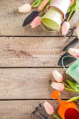 Gardening tools and flowers on wooden terrace background. Spring gardening concept, copy space for your text