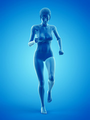 Fototapeta na wymiar 3d rendered medically accurate illustration of a woman walking