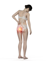 3d rendered medically accurate illustration of a woman having a painful hip