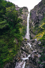 Fototapeta na wymiar Beautiful waterfall, greenery nature in rainforest