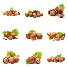Set of Hazelnut nut many leaves isolated on a white background as a packaging design element