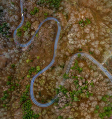 Aerial view of autumn forest with a curvy road. Captured from above with a drone in Bavaria, germany.