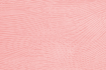 Beautiful line soft pink feather wing pattern texture background