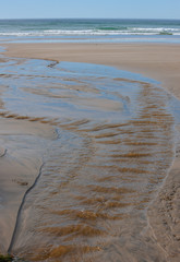 Purakanui Bay. Catlins. South Island New Zealand. Coast sand beach