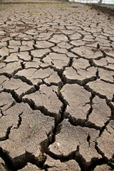 Warning of global warming : Impossible farming