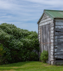 Fototapeta na wymiar Old barn. Coast Shag point Otago New Zealand