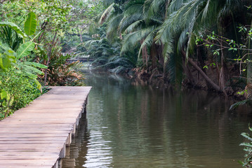 wooden bridge in the forest