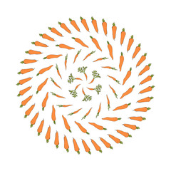 Round frame with beautiful carrots ornament. Isolated wreath on white background for your design