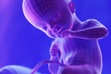 3d rendered abstract illustration of a fetus - week 21