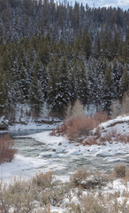 Winter on the Gros Ventre River in Wyoming