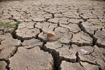 Warning of global warming : Impossible farming