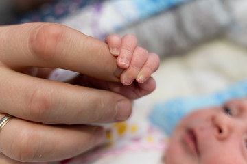 hands of a newborn baby and dad