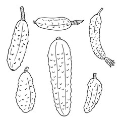 Set of black and white contour cucumbers. Pack of monochrome outline vegetables.