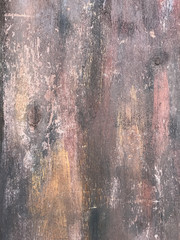 Aged wood texture, cutaway wood background, fibers