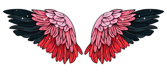 Beautiful pink black flamingo wings, vector © Евгения Савченко