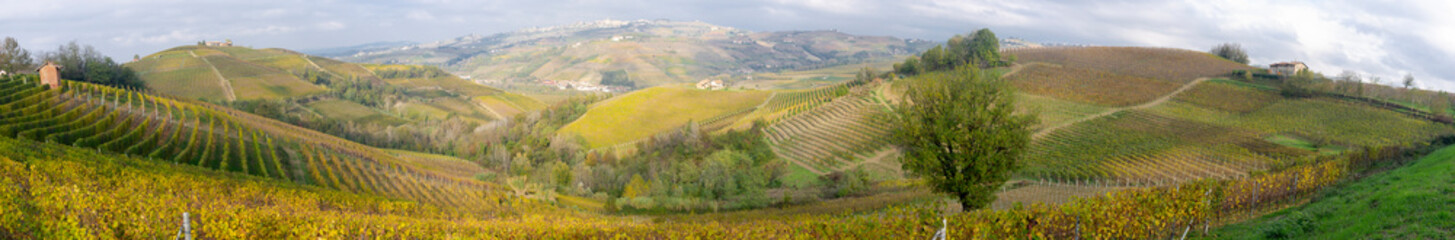 Fototapeta na wymiar Wide panorama of the Langhe vineyards near the village of Serralunga d'Alba (Cuneo Province, Piedmont, Northern Italy); UNESCO Site