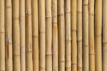 Bamboo trunk background and texture