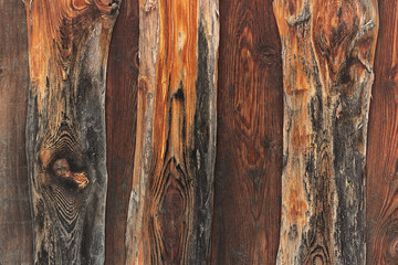 Old blackened wood texture  close-up