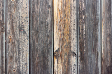 Naklejka premium Wooden old fence texture closeup