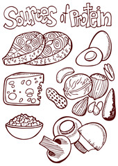 Sources of protein. Outlines vector illustration hand drawing set