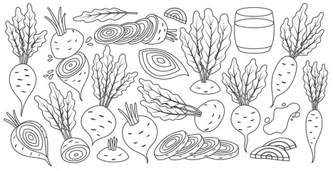 Vegetable of beet vector line set icon. Vector illustration beetroot root on white background .Isolated line set icon food of beet.