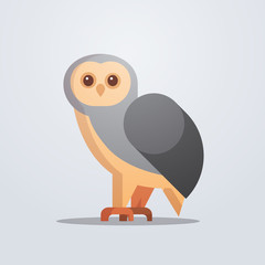 owl bird icon cute cartoon wild animal symbol wildlife species fauna concept flat vector illustration