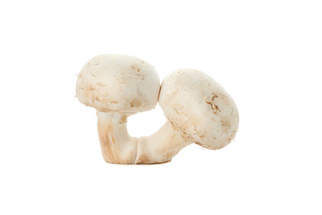 Сhampignon mushrooms isolated on white background, close up
