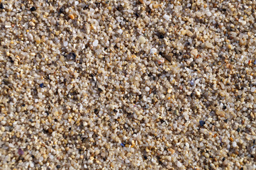 beige sand texture closeup for background