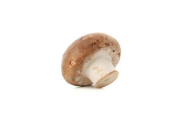Raw champignon mushroom isolated on white background, close up