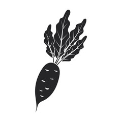 Beetroot vector icon.Black vector icon isolated on white background beetroot .