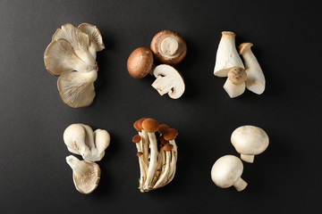 Flat lay with different mushrooms on black background, top view