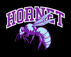 Hornet typography design concept for T shirt Graphic Print Casual, vector image illustration.