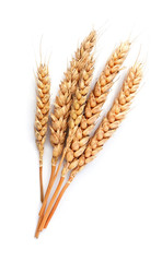 Wheat  on white backgrounds.