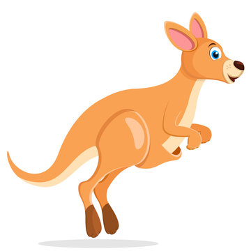 Kangaroo jumps and smiles on a white background.