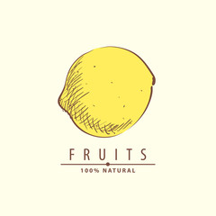 Fresh juicy lemon illustration