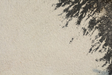 Old cement with mold on the wall abstract texture and background.